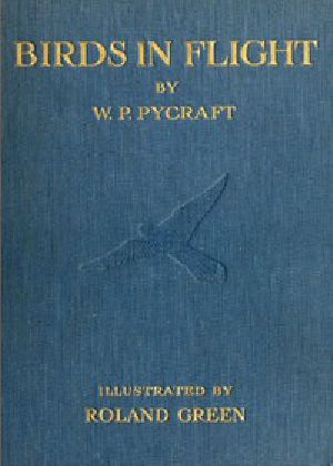 [Gutenberg 45086] • Birds in Flight